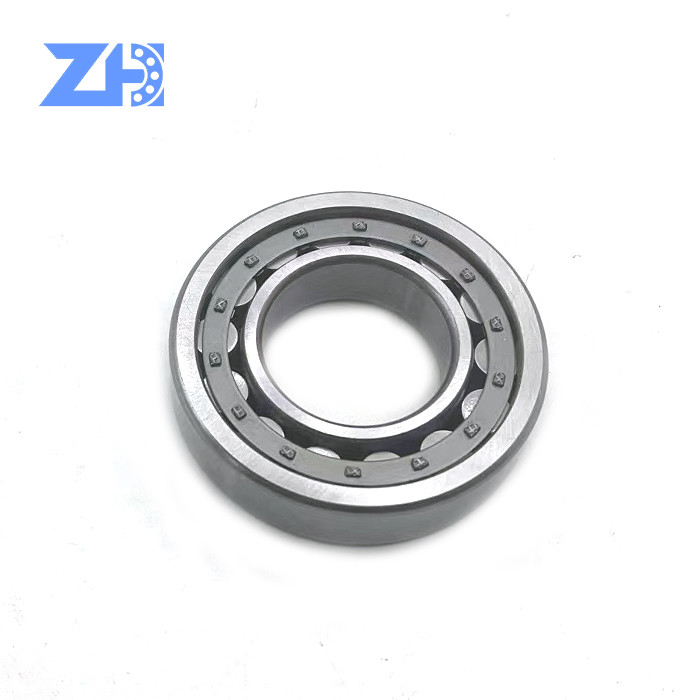 掘削機の円柱軸受のZz 2rs NJ209Eのサイズ45*85*19 Mm