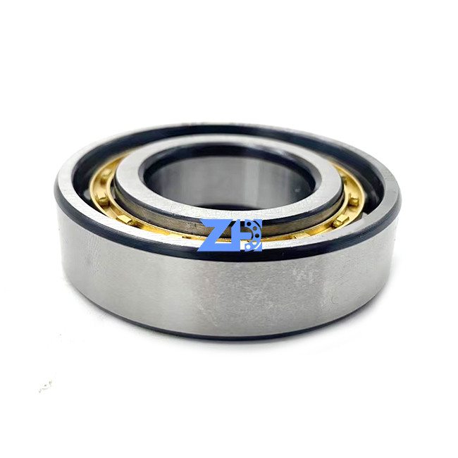 RN 206 ECMの単一の列の円柱軸受の真鍮のおりの長い生命高精度の別の設計30*62*16mm