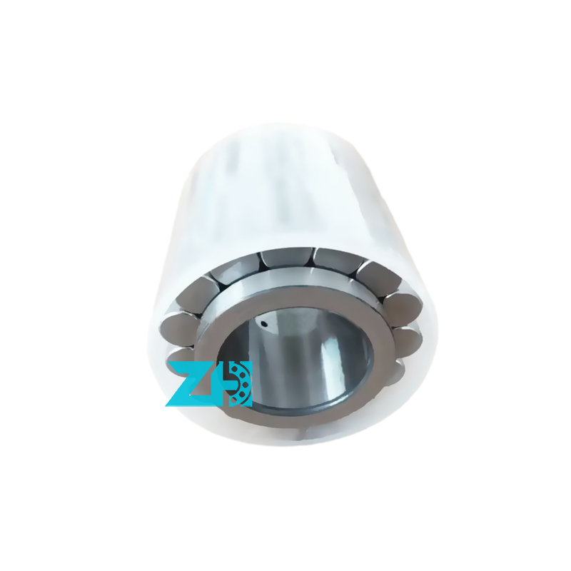 2列半径円筒ローラーラーリング F-238900.RNN 円筒ローラーラーリング F-238900